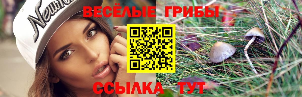 Галлюциногенные грибы GOLDEN TEACHER  Вход с VPN  Минеральные Воды 